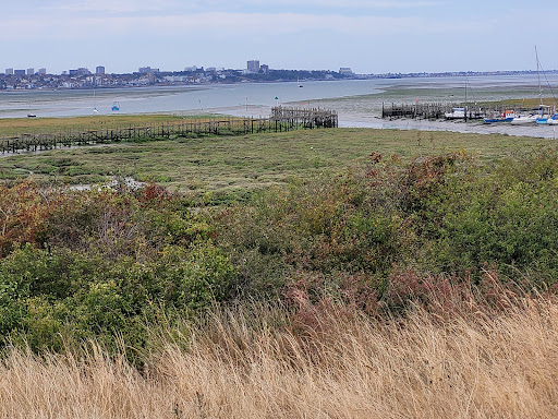 Canvey Heights Country Park - Thumbnail