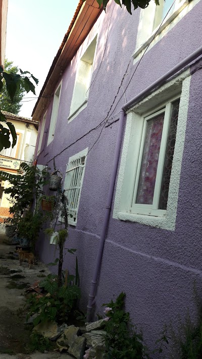 Photos of Pensions Ayvalık APARTMENTS