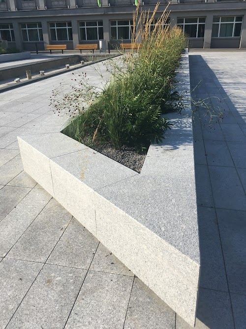 Eesti Vabariigi iseseisvuse väljakuulutamise monument