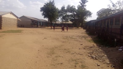 school