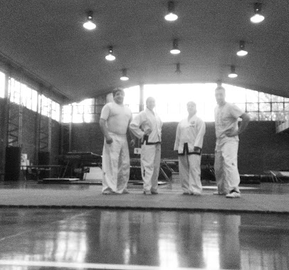 Club Mercantil Instituto Del Taekwondo Argentino, Author: Julao Niveyro