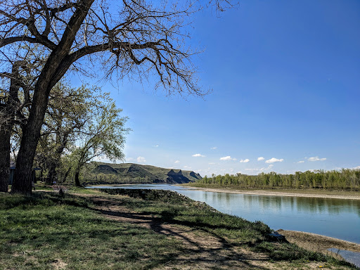 Pavan Park - Visual