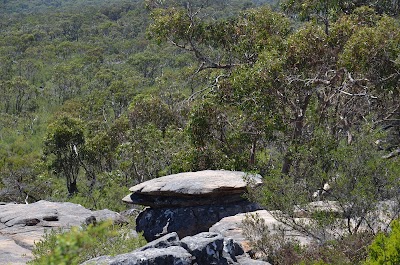 Photos of Reeds Lookout