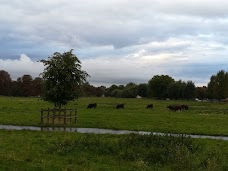 Midsummer Common cambridge