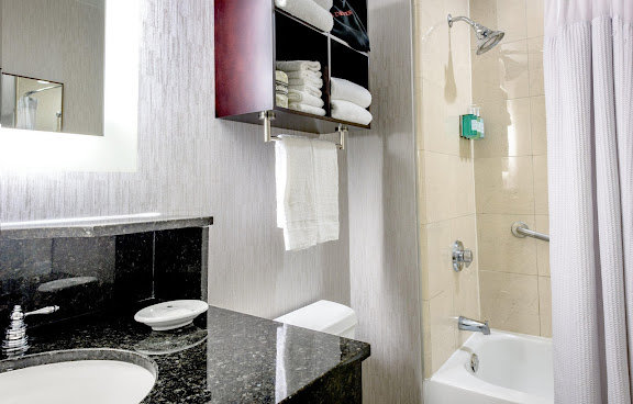 Crowne Plaza New Orleans French Qtr - Astor by null