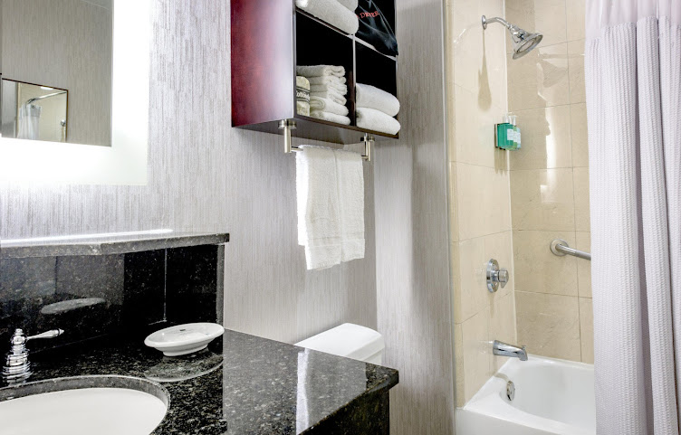 Crowne Plaza New Orleans French Qtr - Astor by null