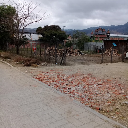 leñas trapiche - Visual