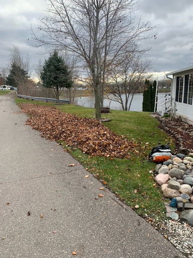 Borrowed Son Lawn Care LLC