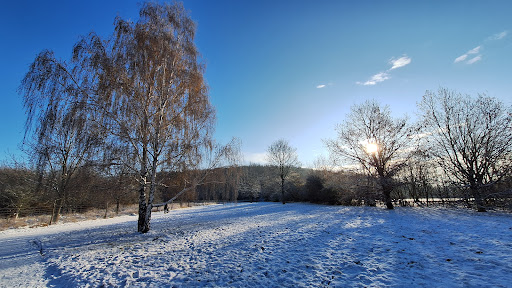 Park am Weidengrund - Thumbnail