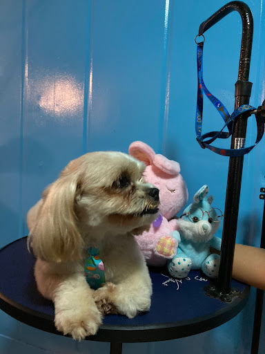 Good Vibes Pet Care LLC - Thumbnail