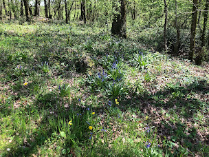 Photo n°34 de B&B MaBelle rêve à Saint-Pierre-de-Côle (Chambre d'hôtes)