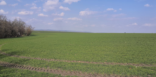 B176 - Straußfurt - Visual