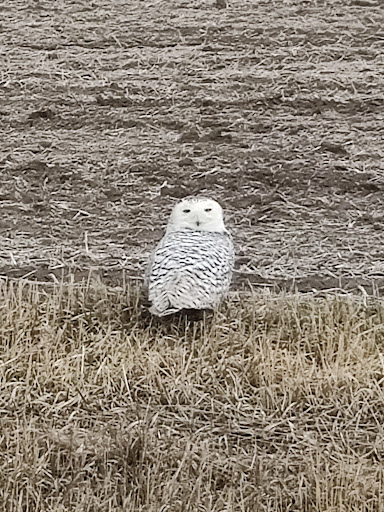 Guthrie County Conservation - Thumbnail