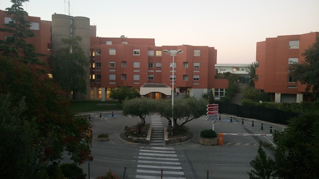 CHU NIMES-CAREMEAU