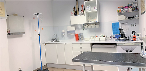 Gabinet Weterynaryjny Czarny Kot