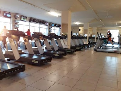 Photos of Body & mind - Animal Gym