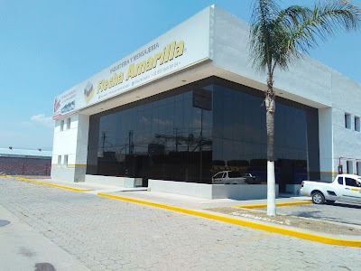 Photos of Paqueter&igrave;a Flecha Amarilla Celaya