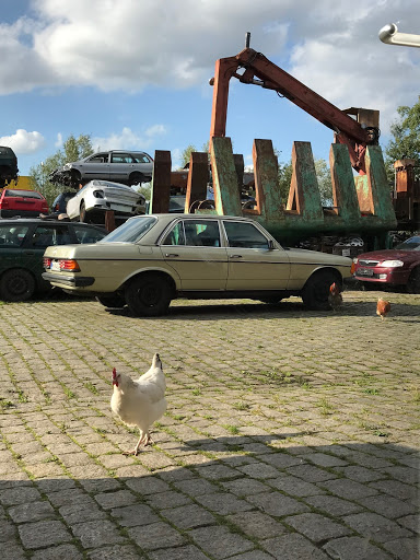 Auto-Strassburg