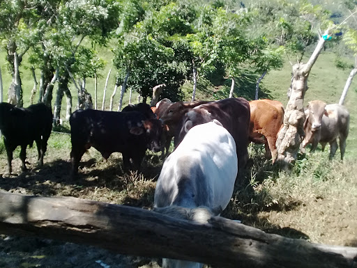 San Antonio Tres Picos - Thumbnail