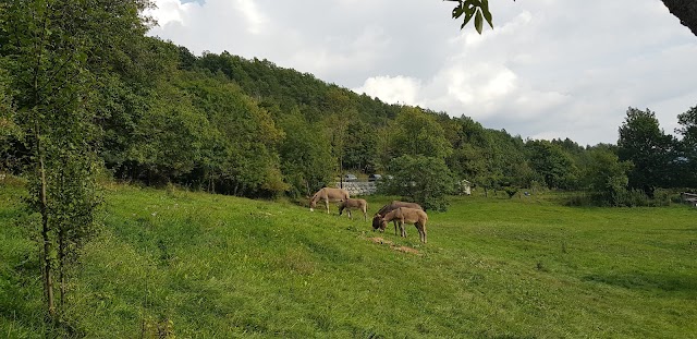Écogîte et yourtes de Villeplane