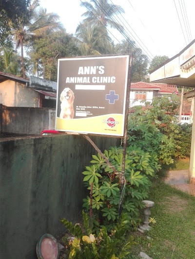 Photos of Ann's Animal Clinic