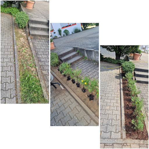 Haus- & Gartenservice K.Bachels - Thumbnail