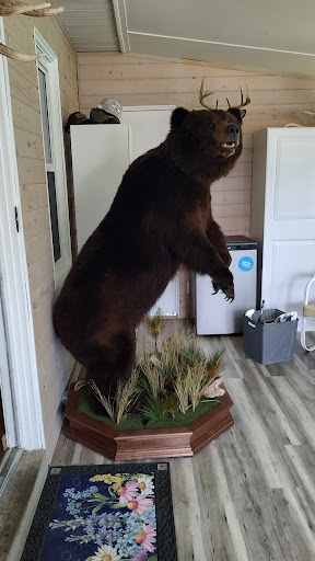 Buckhaven Wildlife Art