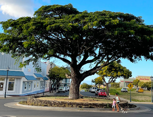 All Access Ortho Maui - Thumbnail