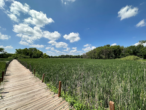 Timber Shores Park - Thumbnail