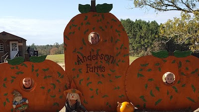 Anderson Farms Pumpkin Patch