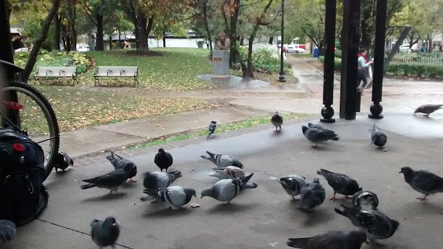 St. James Park