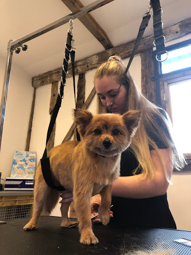 Perfect Pups Dog Grooming Salon