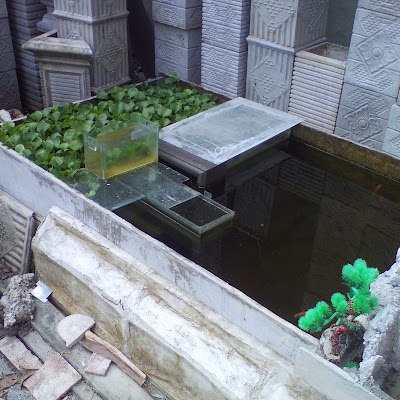 Photos of Neutron Precast