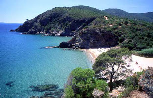 Photo n°5 de Agence Bel'Immo à Cavalaire-sur-Mer (Villa)