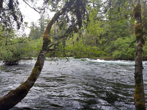 McKenzie Bridge - Thumbnail