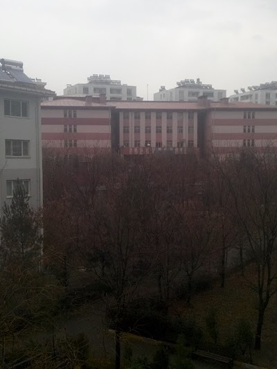 school