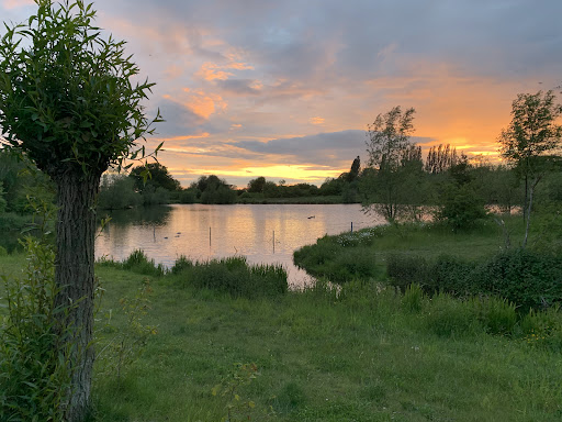 plus- WERT Immobilienmakler Anja Spieker