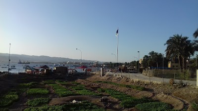 Photos of Al Amer Chalet 2