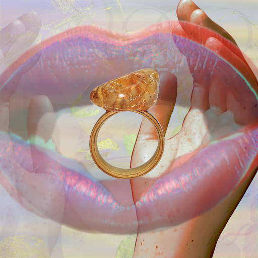 COOS FUSION - Thumbnail