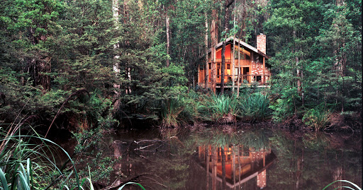 Woodlands Rainforest Retreat - Thumbnail