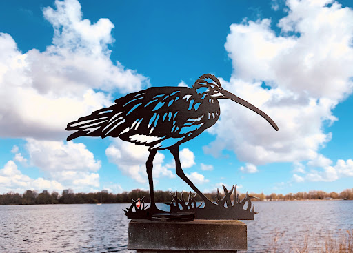 Birdwise