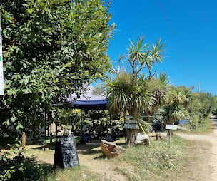 Photo n°8 de Camping Le Kergorz - vacances en bord de mer en Finistere à Plomodiern (Terrain de camping)