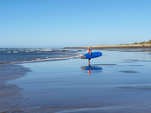 Fitzroy Seaside Park Gallery - New Zealand