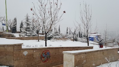 Photos of Mashahir Park