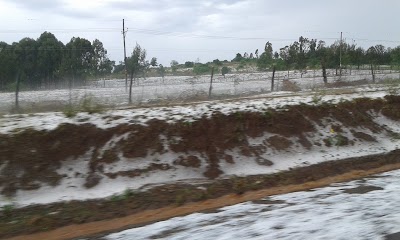 Photos of Rumuruti Forest