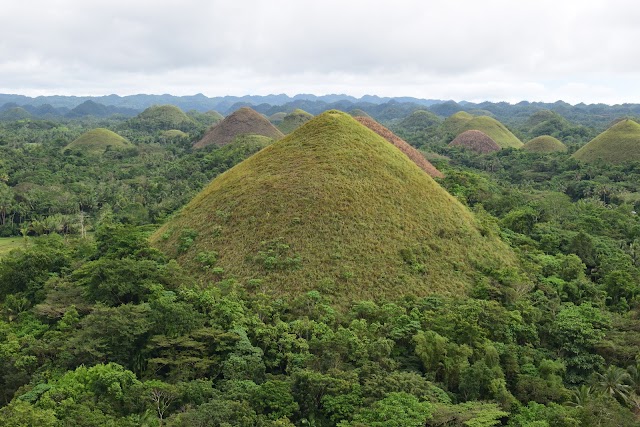 Chocolate Hills Travel & Tours