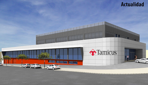 Tamicus - Visual