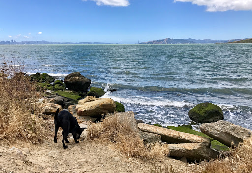 Mudpuppy's at Point Isabel Dog Park - Thumbnail