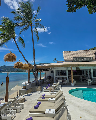 Elephant Beach Club