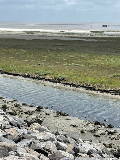 Wadgids.nl - Visual
